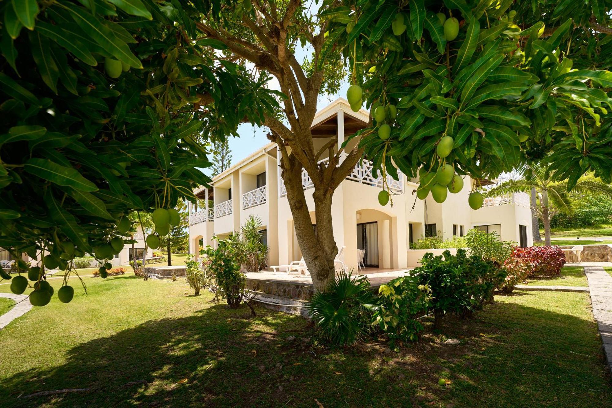 Mount Nevis Hotel Esterno foto